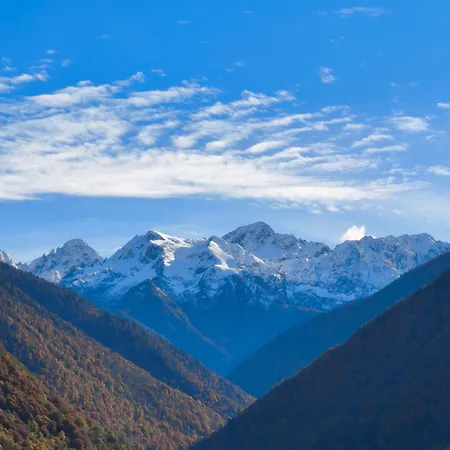 Tendre Face à La Montagne